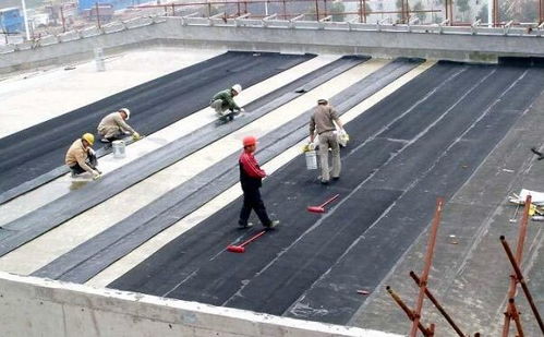 青浦區外墻防水服務與建筑勞務分包 同心協力，共筑品質